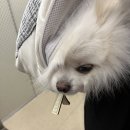 황산공원 농구장 이미지