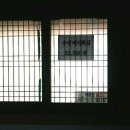 송골새 이미지