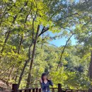 태조산 공원 | 천안 태조산공원 나들이 후기｜가족·연인과 함께 걷기 좋은 코스