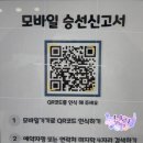 돌고래하우스 | M1971 선셋 돌고래 요트투어, 일몰 끝판왕 제주 이색체험 후기