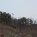 수원-이의-이의-02 이미지