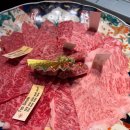 티지패션 앞 교통섬 | [1탄] 일본 먹방 여행지 추천 히로시마 3박 4일 여행기록