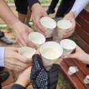 옥마산등산로 | 보령 옥마산 후기