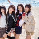 코카coca 이미지