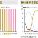 디에스21 이미지