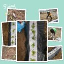 신갈농장 이미지