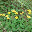 낙동강변로3-2 이미지