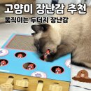 멍멍펀치 | 고양이용품 스크래쳐 두더지 잡기 장난감 후기