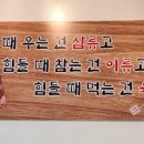 거승한우돈 이미지