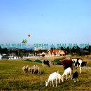 (주)안성목장 이미지