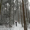 물영아리오름 이미지