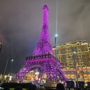 터미널관광나이트 | 2일차 : 마카오 당일치기(세나도 광장ㅣ세인트 폴 성당 l 육포거리ㅣ마가렛 카페 이나타ㅣ나이트 투어)