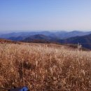 번개산행 8월31일 일요일 무장산(경주)해발624m 정상에 펼쳐진 억새는 화왕산못지 않아요 28일(목)까지 입금 부탁합니다 이미지