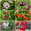 통일이음길 이미지