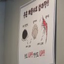 청기와샤브샤브 | [경기도 시흥] 월곶 칼국수 맛집 '등촌샤브칼국수 월곶점'에서 왕갈비 샤브샤브 먹은 후기!