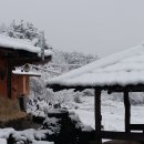 둘리민박 이미지