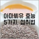 아마씨유 효능 5가지, 섭취법 이미지