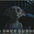 나로푸드 이미지