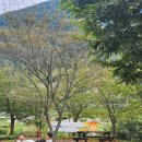 제이모빌리티 | 받고 나누고 또 먹고... 또 나누고... 밀양 자연속캠핑장에서 단체캠핑 ㅣ 25.9.26~28