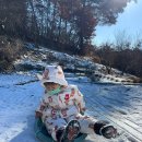 파파홈예산 | [글램핑]파파홈 예산(2탄)추워지니 생각나는 작년 겨울 글램핑