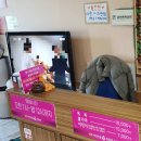 청계 여성전용 불한증막 이미지