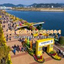 경주베이스볼파크 제2야구장 | 창원 제25회 마산가고파국화축제 국화축제 현장 구경 주차장 먹거리