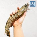 훈훈