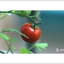 요술공주 - 익산시 하나로10길 100 | 요술공주
