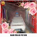 워시존 강릉 내곡점 이미지