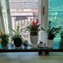 칠성부동산중개 이미지