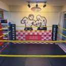 성일GYM 복싱센터 네이버블로그
