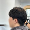 라미스헤어계대 이미지