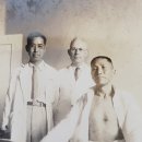 1919 이미지