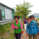 화남초등학교 이미지