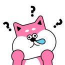 모터치 이미지