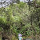 오라케이 코라코 (Orakei Korako), 오하쿠리(Ohakuri) - 뉴질랜드 여행 로토루아(Rotorua) 근교 6