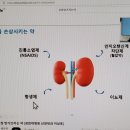 콩팥이야기 이미지