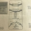 몽키펫 이미지