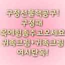 셀아처