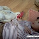 경준농장 이미지