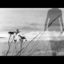 Soul Flying Star ~ Dans ton souvenir 이미지