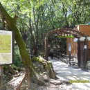 쌍둥이 농원 이미지