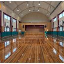 그린체육관 이미지