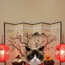 러브펫살롱 이미지