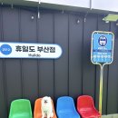 부산 명지 애견카페 휴일도 부산점 방문 후기 🐶🤍