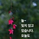소복도 Daum카페