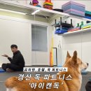 아이캔독 이미지