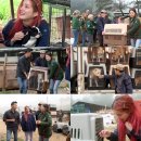 이경규농장 이미지