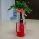모아경로당 Daum카페