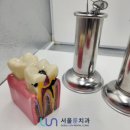 서울룬치과의원 이미지